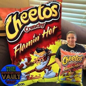 Premium Quality Flamin Hot Cheetos 24x18 Inch Pillow CANDY Cereal Chips